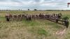 34&rsquo; Wil-Rich field cultivator