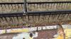 30&rsquo; New Holland 971 header s/n: 582240 - 21