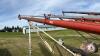 Farmking 851 Pto auger, S/N-9121973 - 7