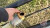 Brandt 8&rdquo;x50&rsquo; pto auger, S/N-NA - 7