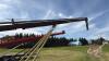 Farmking 8&rdquo;x50&rsquo; auger with 16hp brigs and Stratton engine, S/N-NA - 11