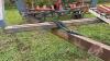 38&rsquo; Friggstad tillage s/n: B-80-238 - 9