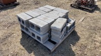 Pallet of Cinder blocks