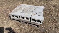 Pallet of cinder blocks
