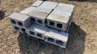 Pallet of cinder blocks