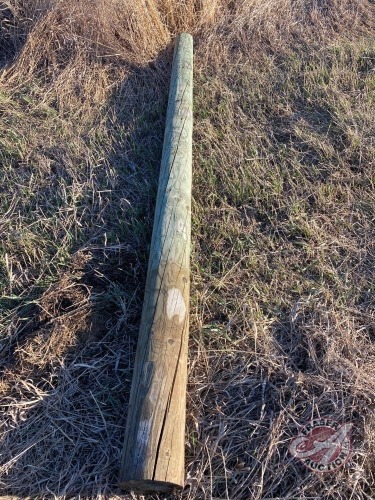 10'x6-7" treated post (buy 1 x's 6)