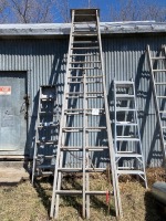 12ft Wooden step ladder