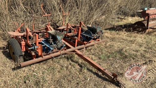 *2-row Strawberry planter