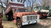 1977 Ford F-600 s/a grain truck w/14ft B+H, 77086 showing, VIN #F610VX81927, Owner: Dennis M Slobodzian, Seller: Fraser Auction__________ - 4