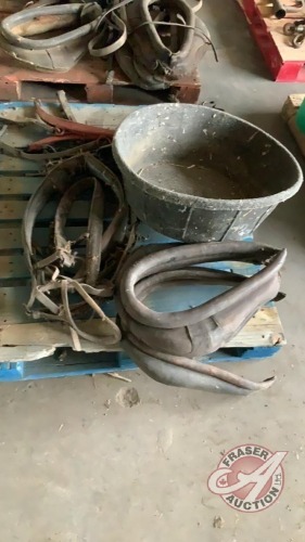 Collers and miscellaneous harness parts and rubber feed tub