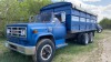 *1977 GMC 6500 tandem axle Grain Truck, 81,913 showing, VIN#TME677V55Y6033, Owner: Sharon M Lee, Seller: Fraser Auction__________ - 2