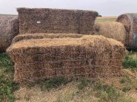 large sq bale of hay (year baled unknown) shedded until June 2021