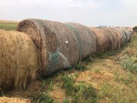 round hay bale (year baled unknown)