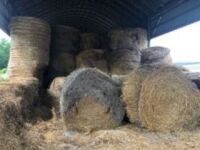 round straw bale (year baled unknown)