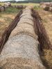 round straw bale (year baled unknown) - 2