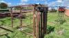 Cattle chute w/auto catch head gate - 3