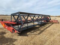 *25' CaseIH 725 pt Swather