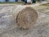 Uncombined wheat w/weeds, several bushels of wheat in each bale. Wrapped LOT B