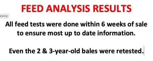 FEED ANALYSIS