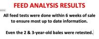 FEED ANALYSIS