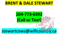 STEWART CATTLE Co CONTACT INFORMATION: