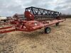 *25' CaseIH 725 PT swather - 6