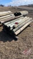 Fence Posts 5-6 inch approx 7-8ft long, K40