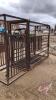 Cattle Chute with Real Industries self catching head gate, Palp cage, F43 - 4