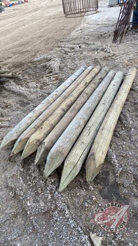 5-6inx8ft Posts, F108