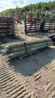 Posts - 8ft x 5-6inch, H64