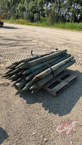 Posts - 6ftx4-6inch, H64