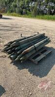 Posts - 6ftx4-6inch, H64