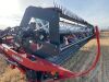 *2010 30' CaseIH WD1203 SP swather - 14