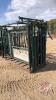 Hi Hog Squeeze chute with auto catch headgate, J86 - 3