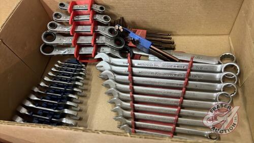 Maxium and Mastercraft SAE wrenches, Gray SAE and metric Hex keys, J36 (3)