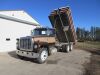 *1976 Ford LT9000 T/A Grain truck, 944,151 showing, VIN#90YVC64611, Owner: John R McGowan, Seller: Fraser Auction____________ ***TOD, SAFETIED & KEYS*** - 12