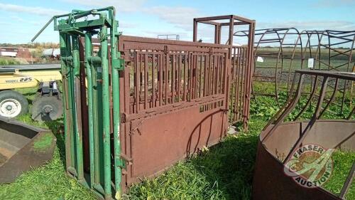 Shop made Chute with auto catch head gate and palp cage