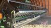 JD 2360 swather with 25ft header, 2102 hrs showing, s/nE02360A878115, - 9