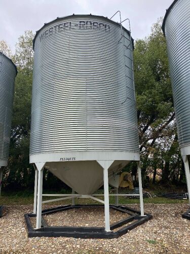 *Bin13: Westeel Roscoe 2200 bushel on Peloquin hopper (Bins must be removed from sale site July 31st, 2021)