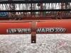 30ft Westward 3000 PT swather with crop lifters, K59 - 9