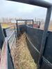 *45’ curved double alley (all steel construction) 30” wide cow alley & 18” wide calf alley, 5’ high sides, end divider gates on each end, off gate to loading chute (see video for best description) - 20