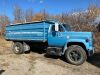 *1984 Chev 60 S/A Grain Truck, VIN# 1GBG6D1B9EV118003, Owner: David Nettle Seller: Fraser Auction ___________***TOD, SAFETIED,KEYS***