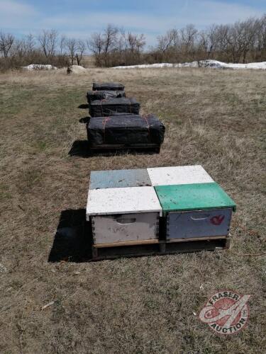 Single Brood Colony with Migratory lid, and base (Your bid is for 1 colony x's the lot quantity) NORTH EATONIA YARDS (Chris Nagel)