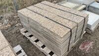 Patio Blocks, F37