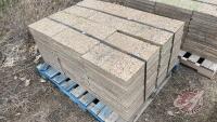 Patio Blocks, F37