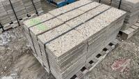 Patio Blocks, F37