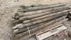 Various Small Used Treated Fence Posts, F40 - 3