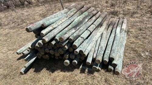 Used treated fence post (3-4in x 6ft)