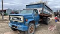 1978 Chev C65 Scottsdale tag axle Grain Truck, 57,693 showing, s/nCCE678V132571, Owner: Larry R Schmidt, Seller: Fraser Auction____________________________