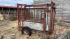 Portable cattle chute with scale (scale not working) - 4